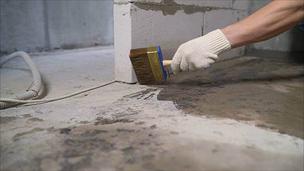 24/7 Emergency Crawl Space Encapsulation experts in Rushford, NY